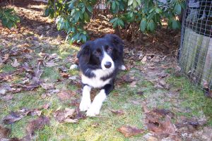 300...und nocheinmal.jpg